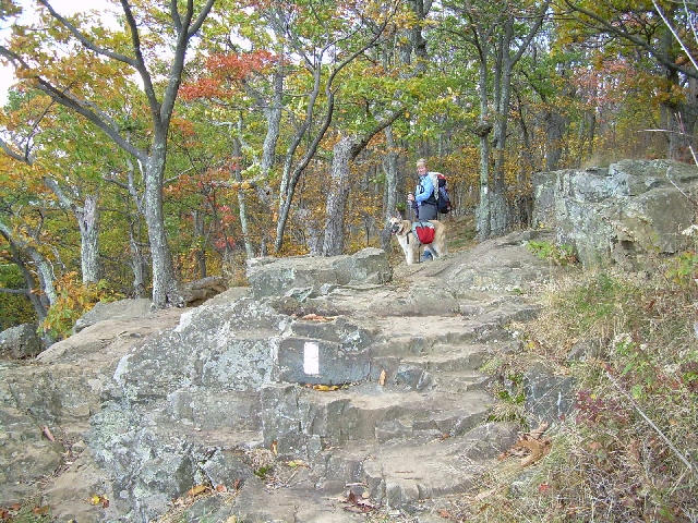 Dirigo & Zero on the rock steps
