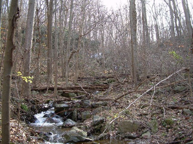 Falls near Reservoir Hollow Falls near Reservoir Hollow