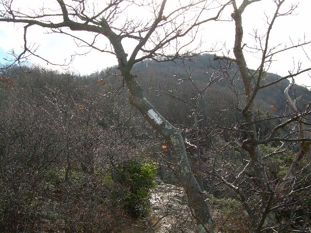 Follow the white blazes Follow the white blazes