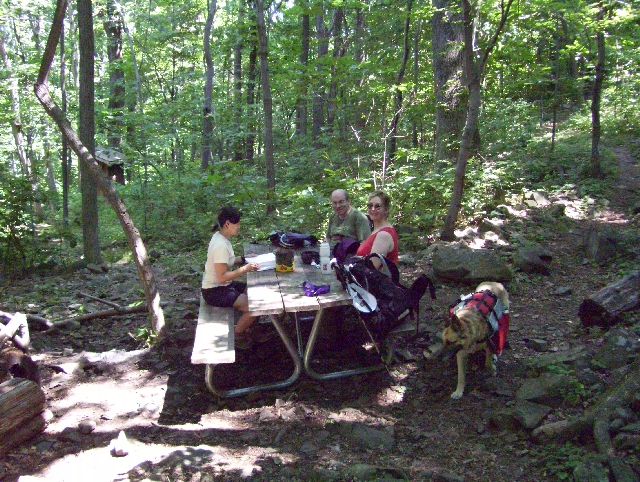 Crazy Birdman from Fairfax, Pistol Packing Patty, Python, & Zero Crazy Birdman from Fairfax, Pistol Packing Patty, Python, & Zero