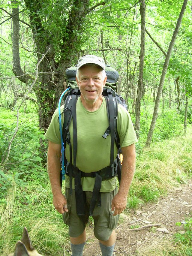 Grey Turtle Grey Turtle