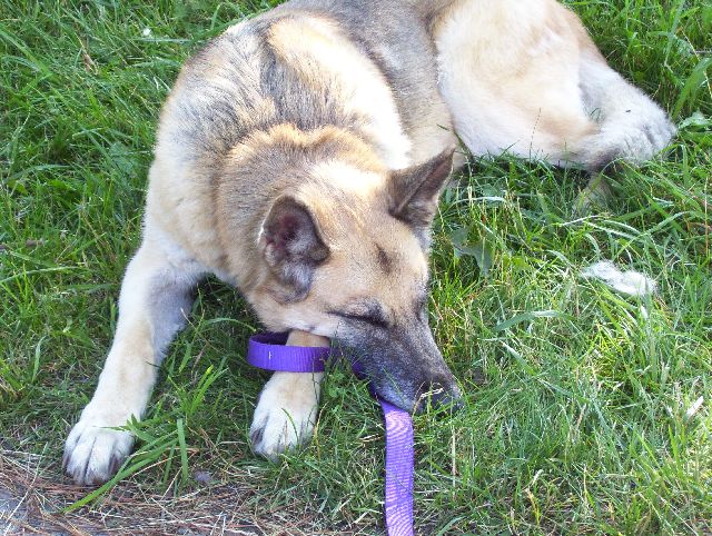 Nap time for Zero Nap time for Zero