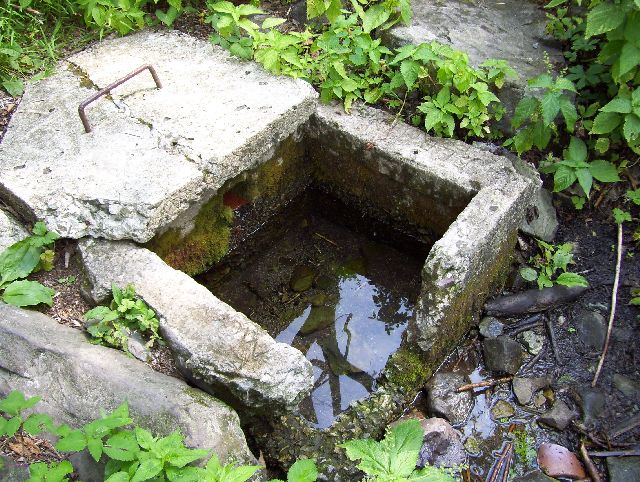 Spring on High Top Mountain Spring on High Top Mountain