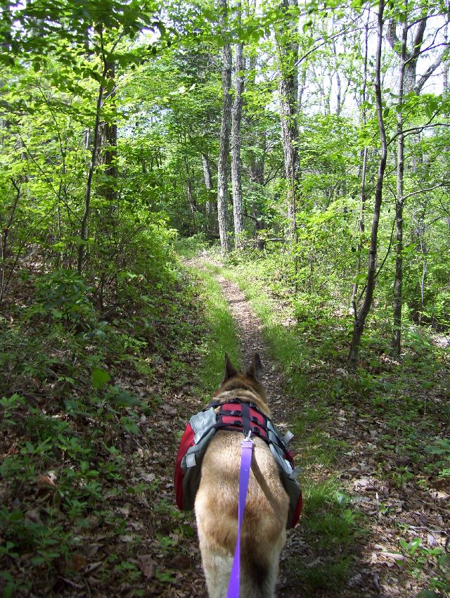 Zero leading the way