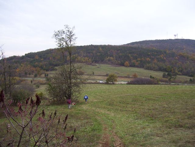 Descending into Beagle Gap