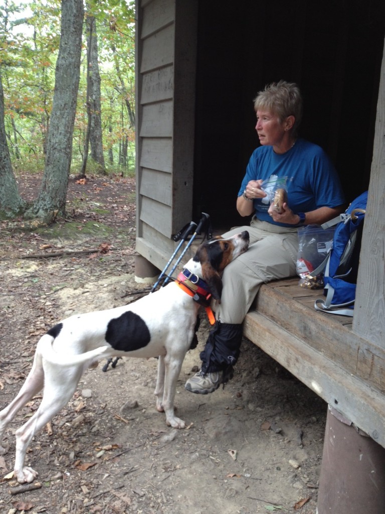 Preacher begging for food