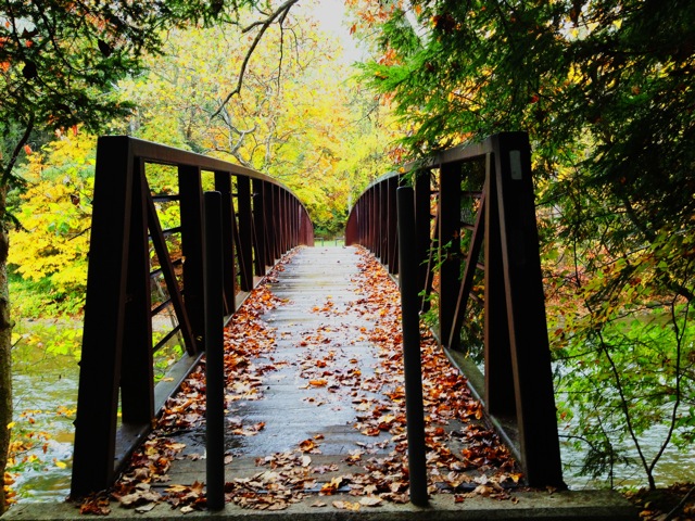 Bridge over Ten Mile River Bridge over Ten Mile River