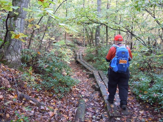 Dirigo on the bog logs Dirigo on the bog logs
