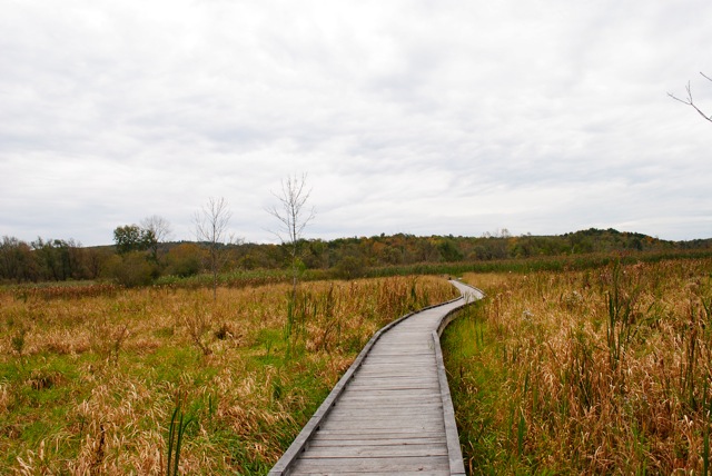 New York Boardwalk New York Boardwalk