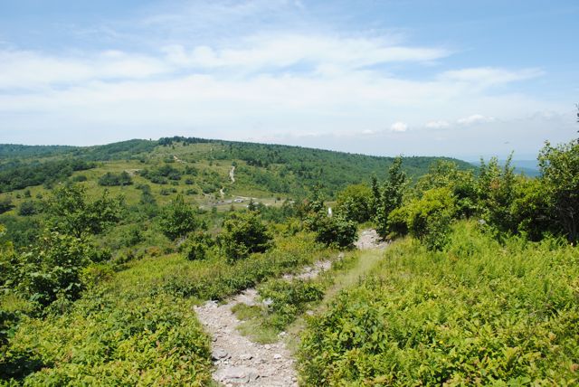 Looking at the Scales Looking at the Scales