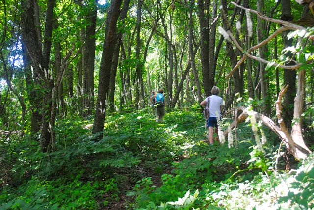 DSC_0313-Joyce & Aneda