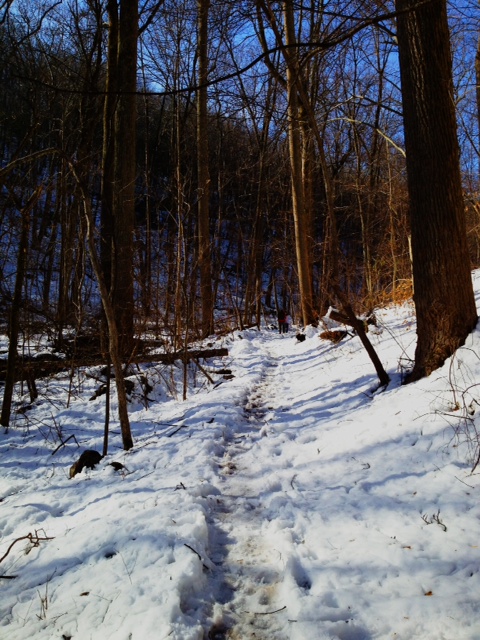 Dickey Ridge Trail