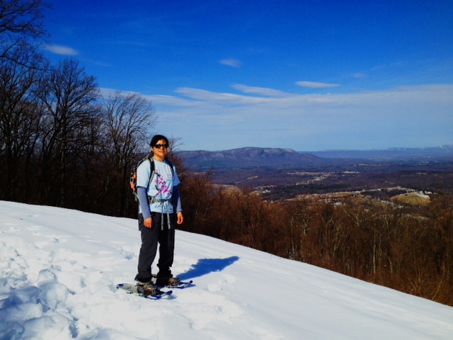 View from Shenandoah Valley Overlook