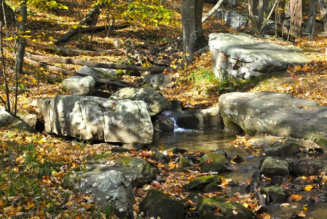 Stream at Lambert's Meadow