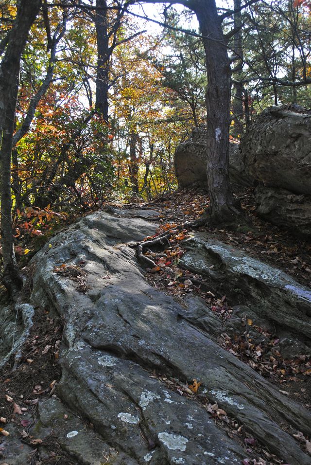 Rocks ledges