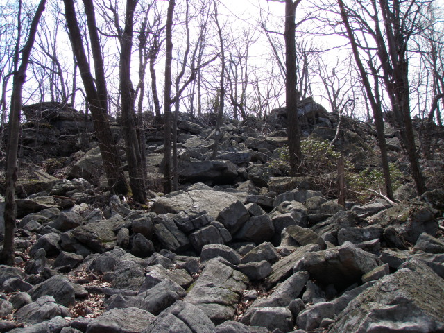 Looking back up towards Wolf rocks