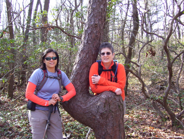 Python and Rock Star