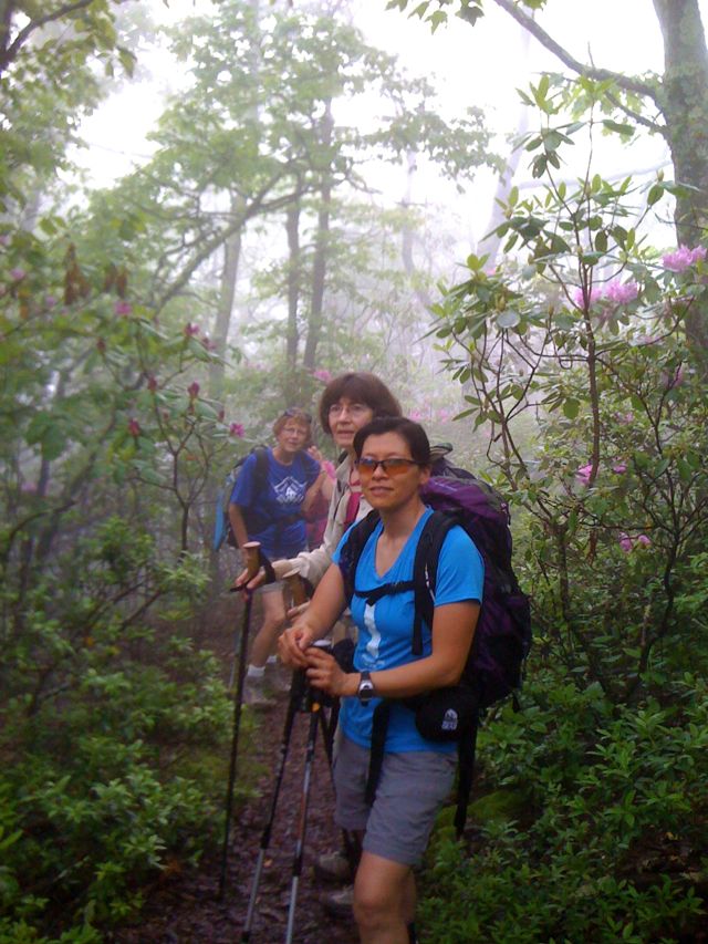 Liz, Nancy, & Python