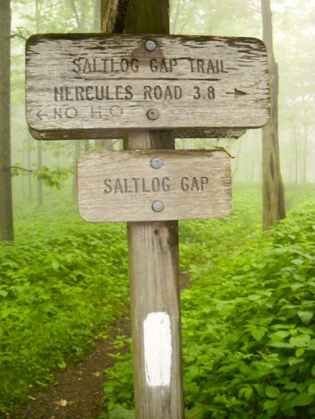 Saltlog Gap