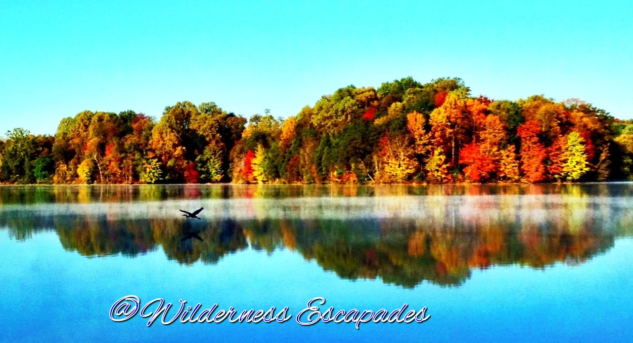 Black Hills Regional Park