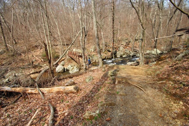 Whiteoak Canyon trail