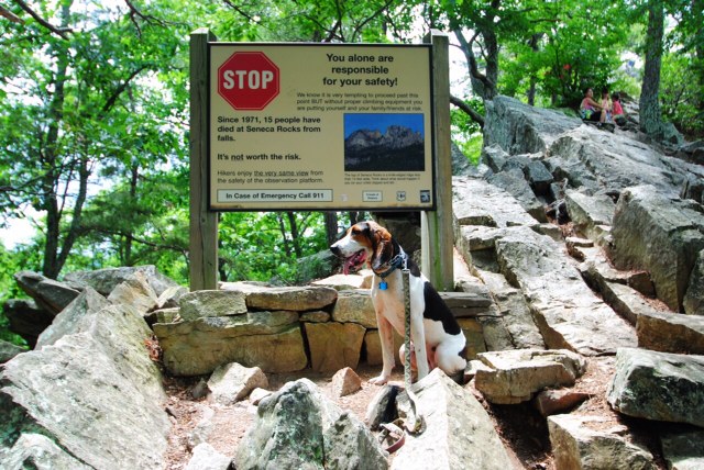 Rock scrambling begins