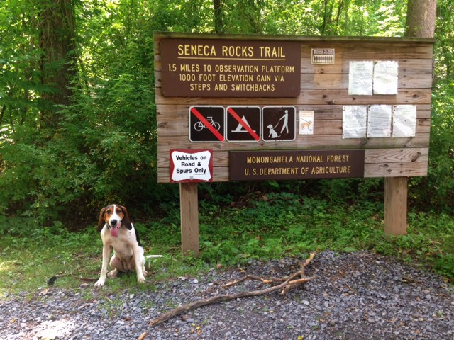 Seneca Rocks Trail