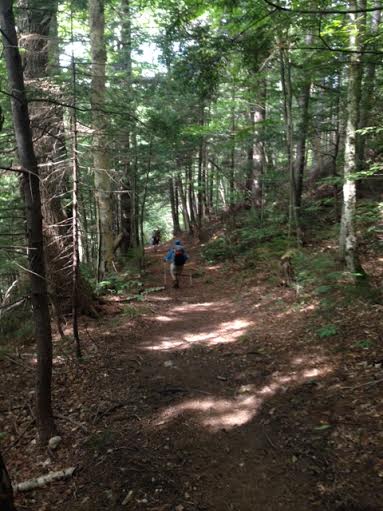 Finally a foot path!