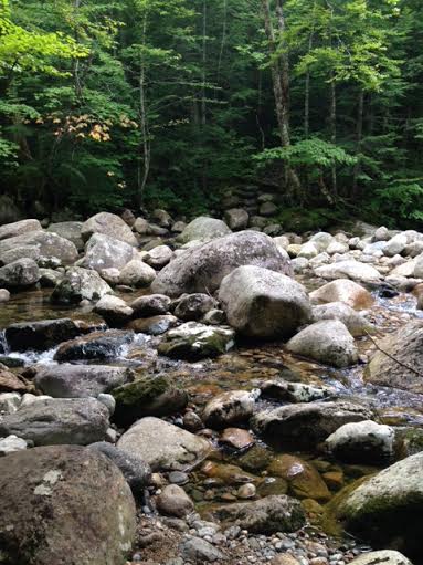 Rattle River Crossing