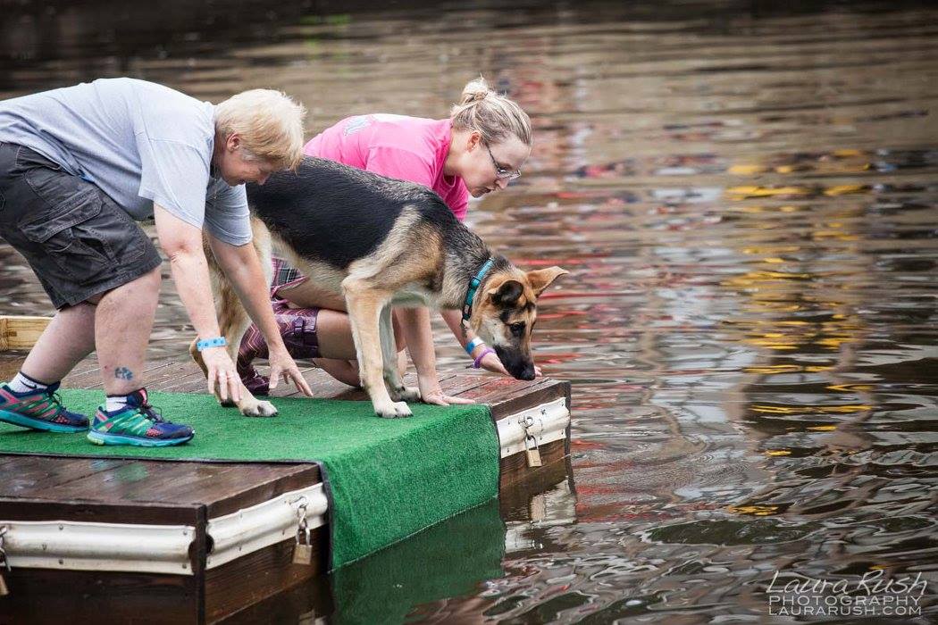 Dock Diving 2015 (photo by http://laurarush.com)