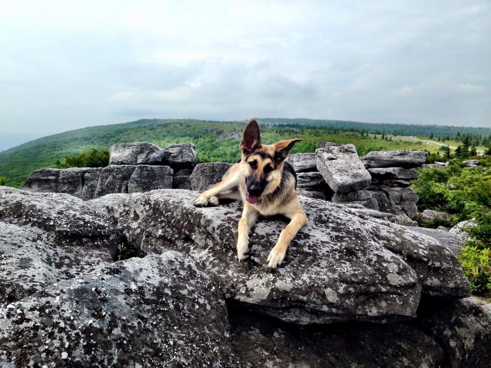 Patapsco Valley State Park, Maryland 2015