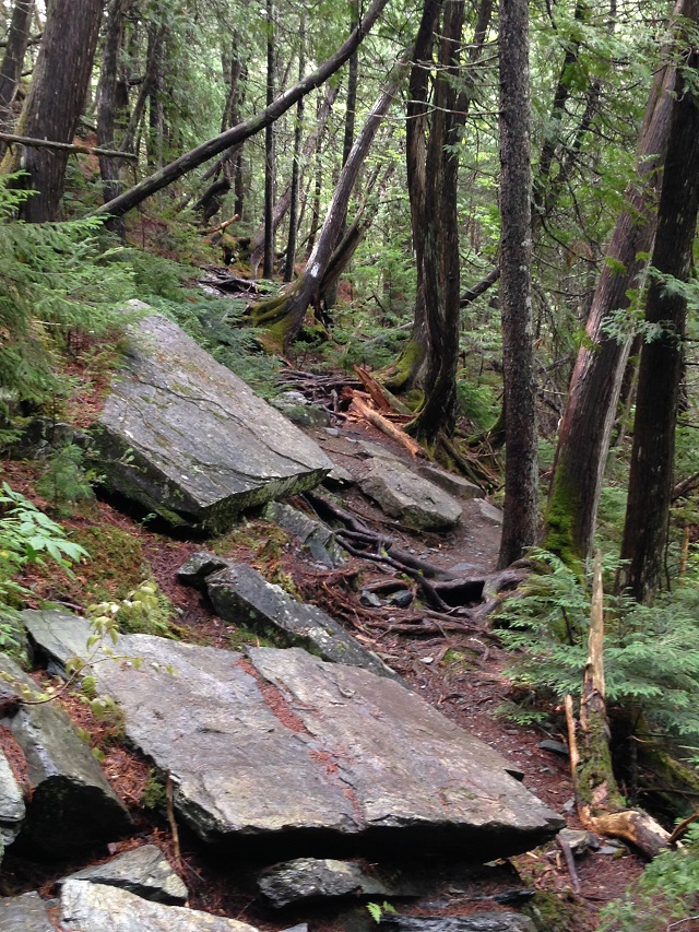 Maine Appalachian Trail