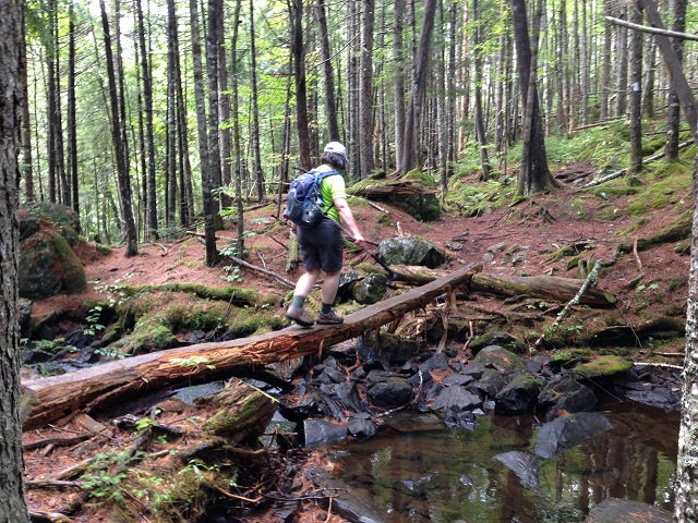 SIMS crossing on log