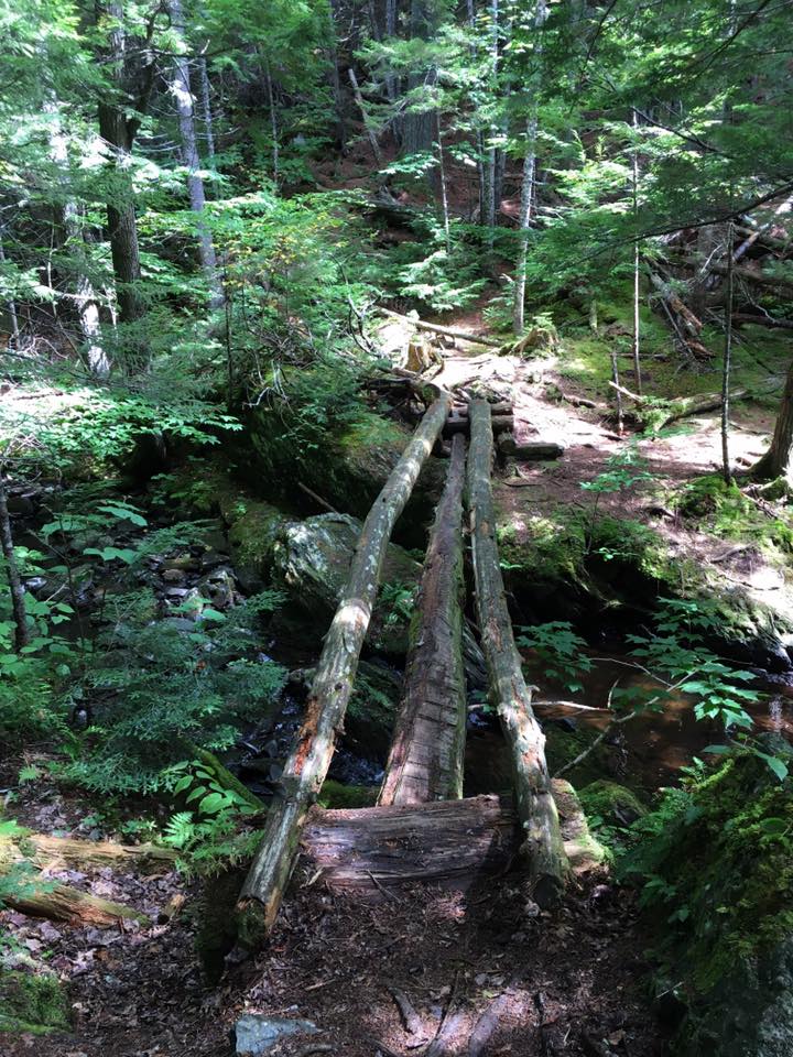 3 Log bridge